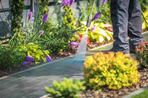 Best Commercial Pressure Washing in Brandywine, MD