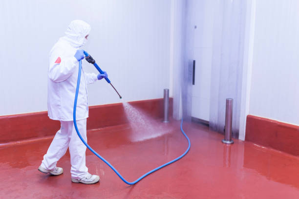 Best Deck and Patio Pressure Washing in Brandywine, MD